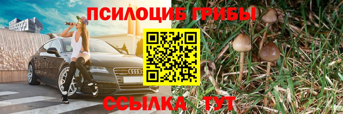 Псилоцибиновые грибы MAGIC MUSHROOMS  Галлюциногенные грибы MAGIC MUSHROOMS  Стерлитамак  Вход с VPN 